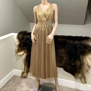 Elegant Glitter Tulle Pleated Midi Dress